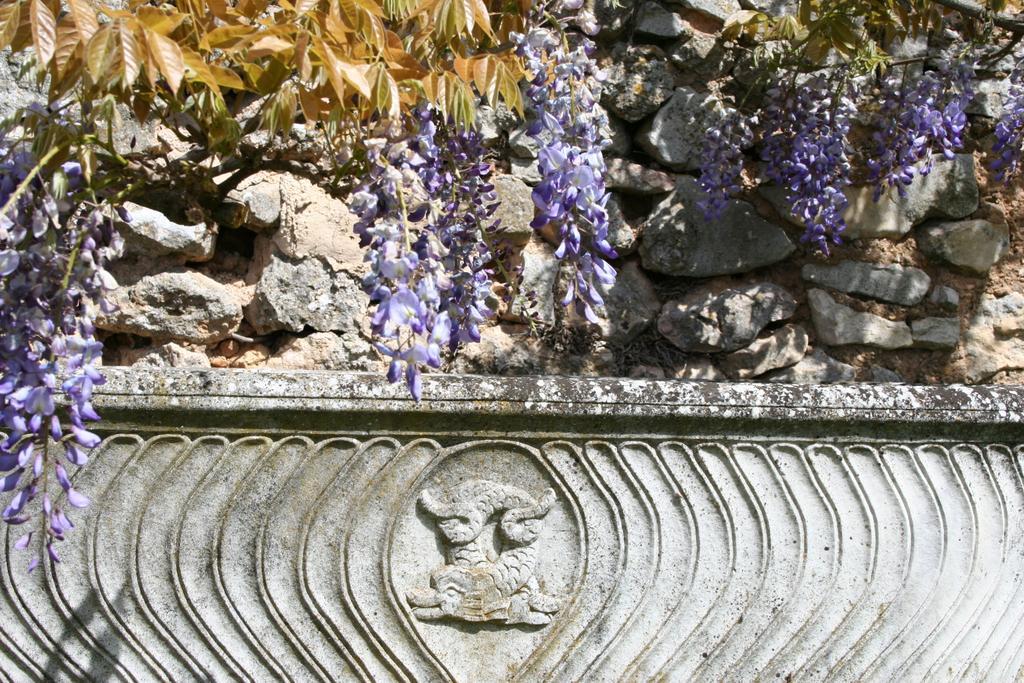 Domaine De La Blaque - B&B Varages Стая снимка