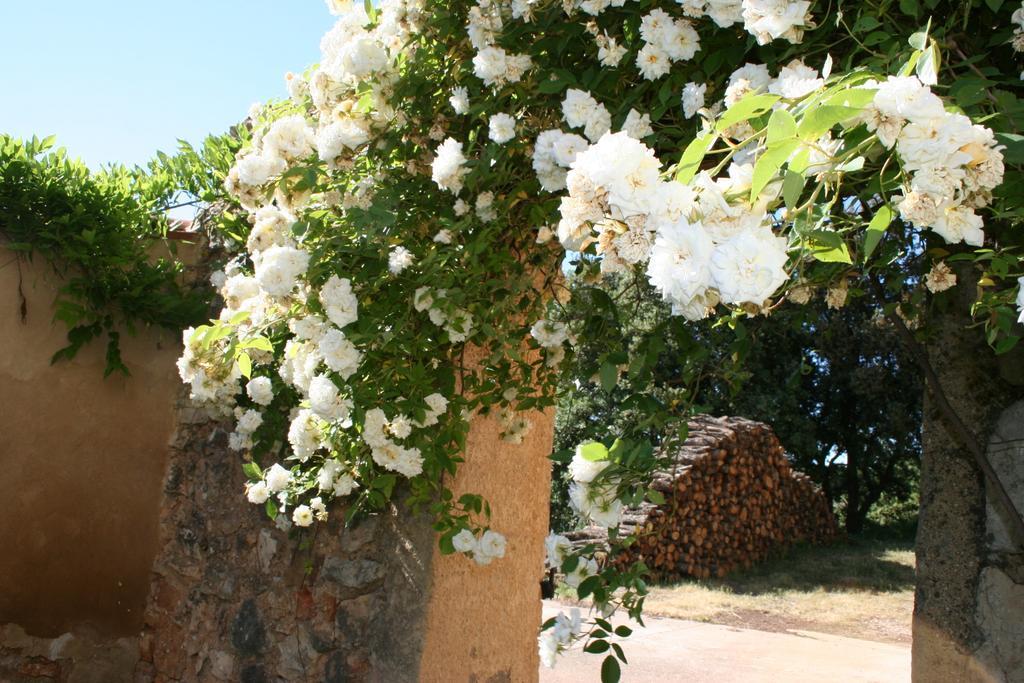 Domaine De La Blaque - B&B Varages Екстериор снимка