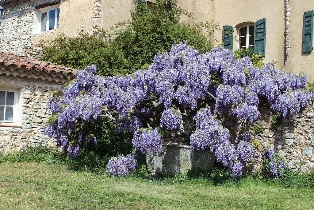 Domaine De La Blaque - B&B Varages Екстериор снимка
