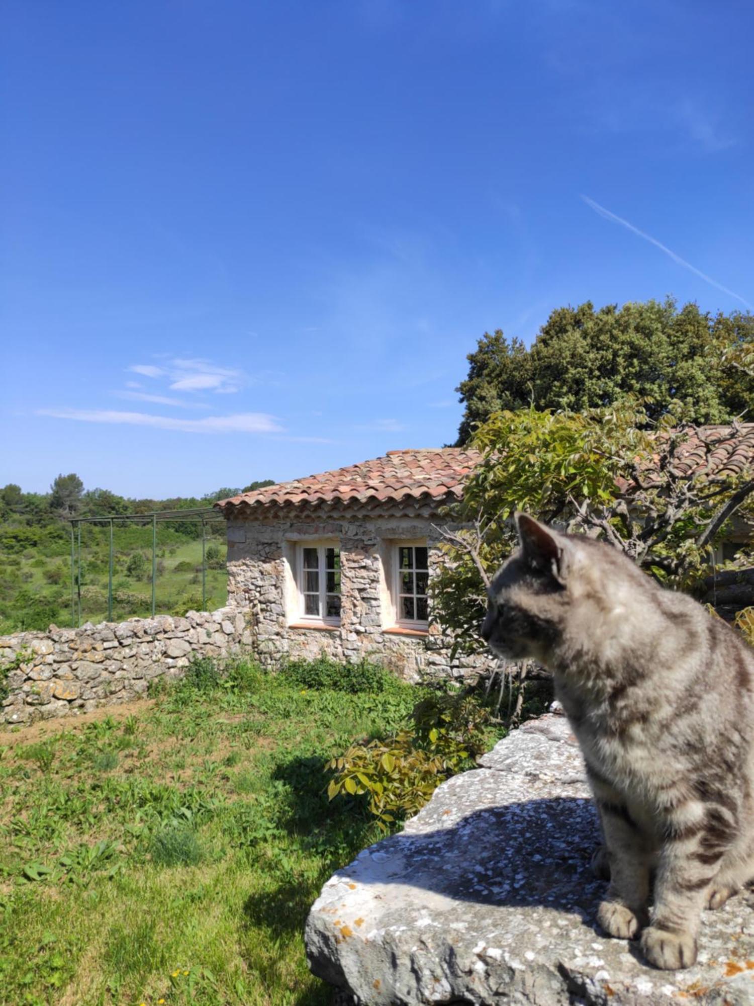 Domaine De La Blaque - B&B Varages Екстериор снимка